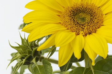 Similar image 543000