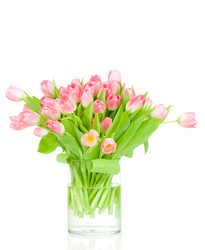 Similar image 543002