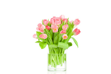 Similar image 543005