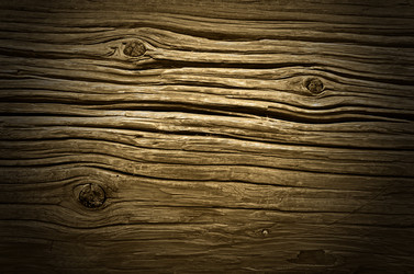 Similar image 543023