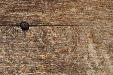 Similar image 543032