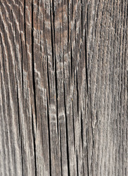 Similar image 543034