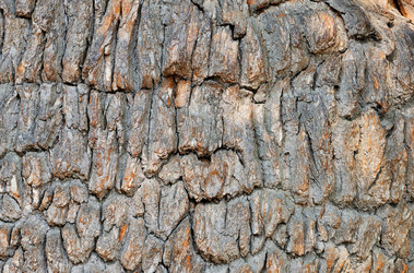 Similar image 543043