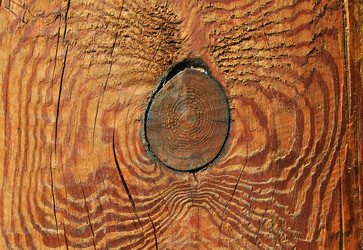 Similar image 543045