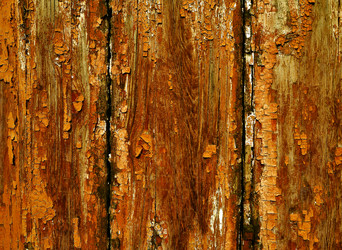 Similar image 543056