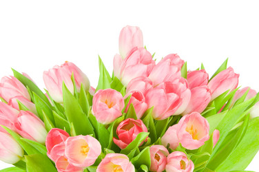 Similar image 543061