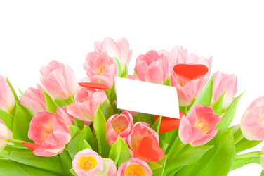 Similar image 543073