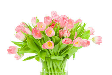 Similar image 543076