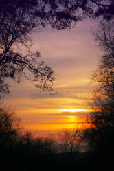 Similar image 543108