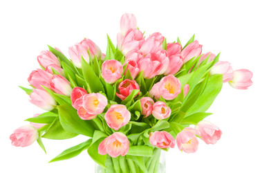 Similar image 543111