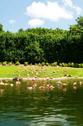 Similar image 543113