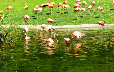 Similar image 543116