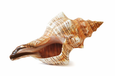 Similar image 543121