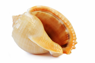 Similar image 543122