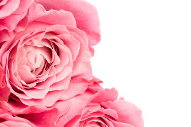 Similar image 543138