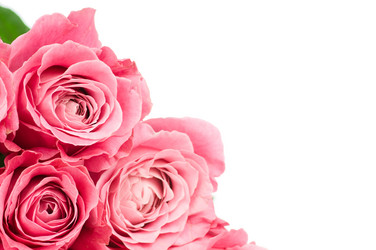 Similar image 543141