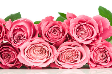 Similar image 543160