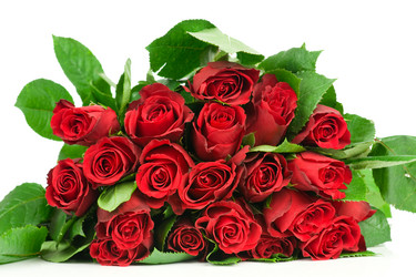 Similar image 543172