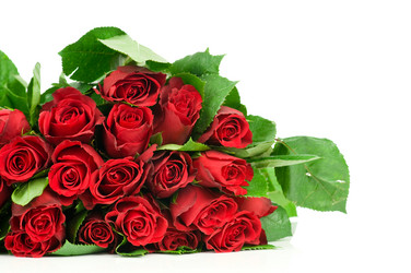 Similar image 543198