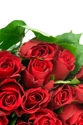 Similar image 543203