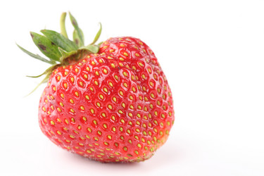 Similar image 543274