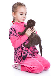 Similar image 543293