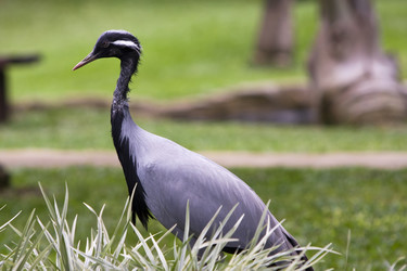 Similar image 543317