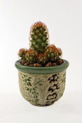 Similar image 543318