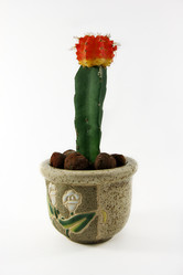 Similar image 543323