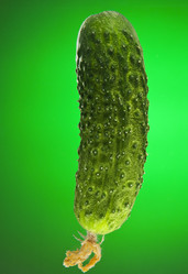 Similar image 543333