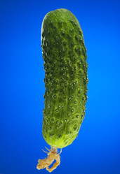 Similar image 543334