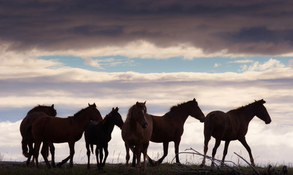 Similar image 543344