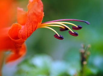 Similar image 543346