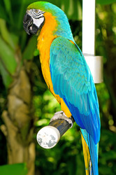 Similar image 543369