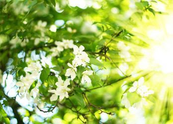 Similar image 543390