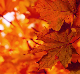 Similar image 543394