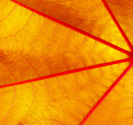 Similar image 543396