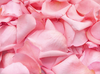 Similar image 543404