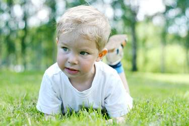 Similar image 543417