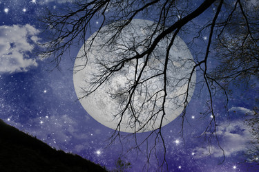 Similar image 543419