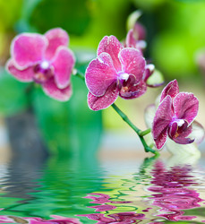 Similar image 543424