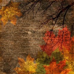 Similar image 543427