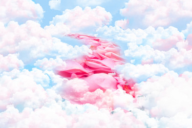 Similar image 543432