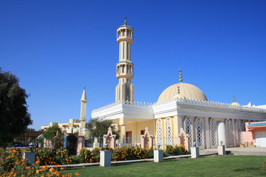 Similar image 543491