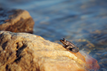 Similar image 543595