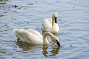 Similar image 543603