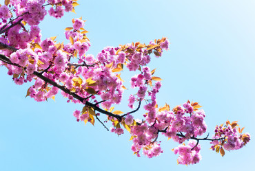 Similar image 543620