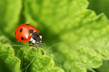 Similar image 543624