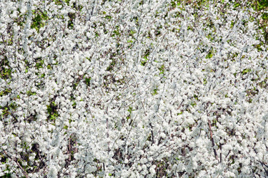 Similar image 543627