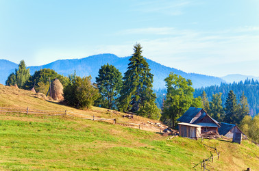 Similar image 543630